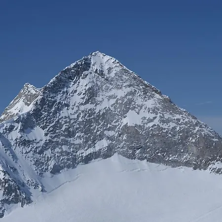 Gruber-hansen *