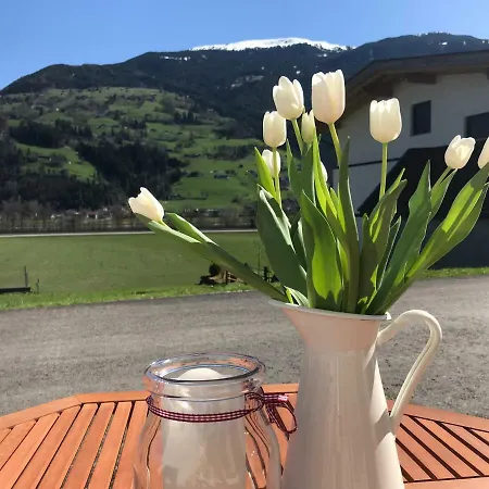 Gruber-hansen 卡顿巴赫