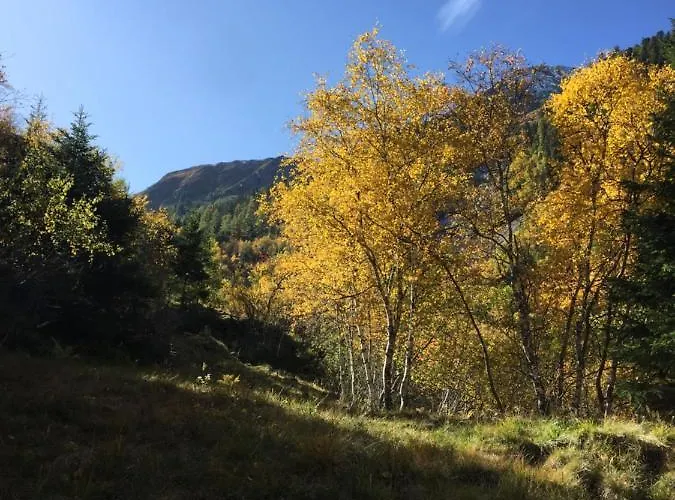 فيرينوهنونغ غروبر-هانسن شقة