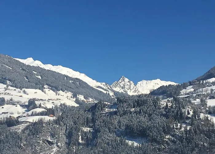 Gruber-hansen * Kaltenbach